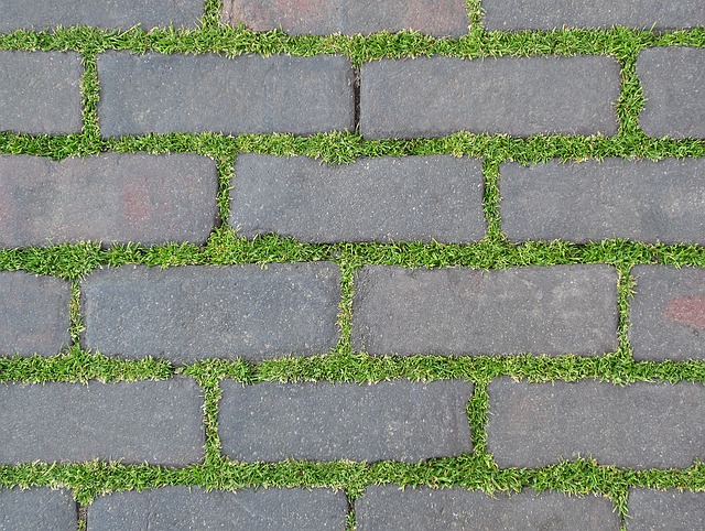 Integrate your Brick Paver Hardscape with your Landscape Design