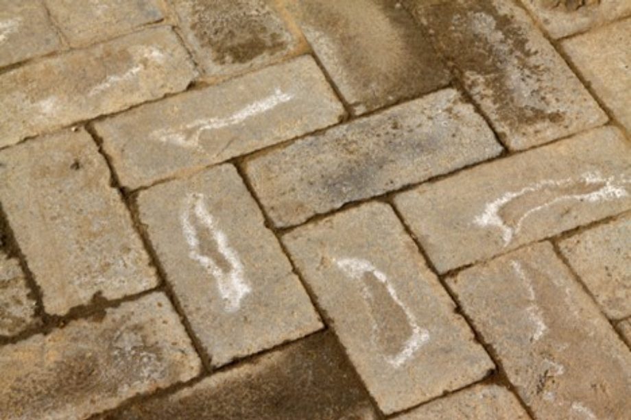 Paver Stain Removal Guide for Colorado Homes